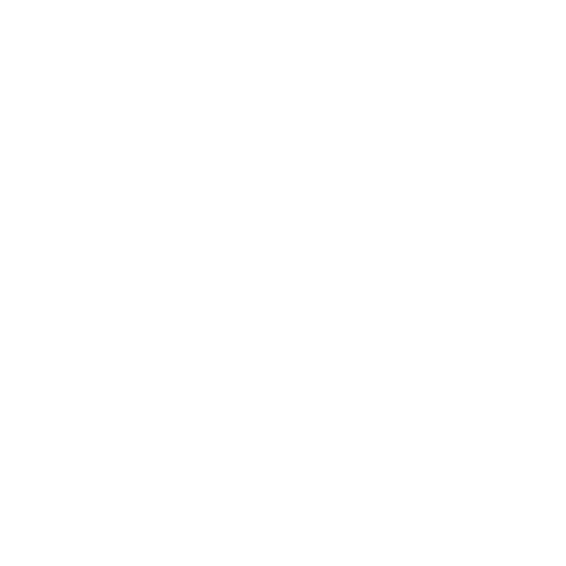 Videot